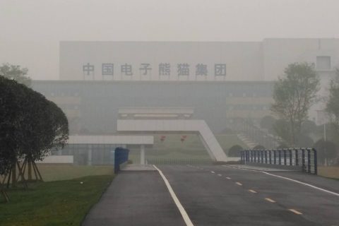 成都熊猫